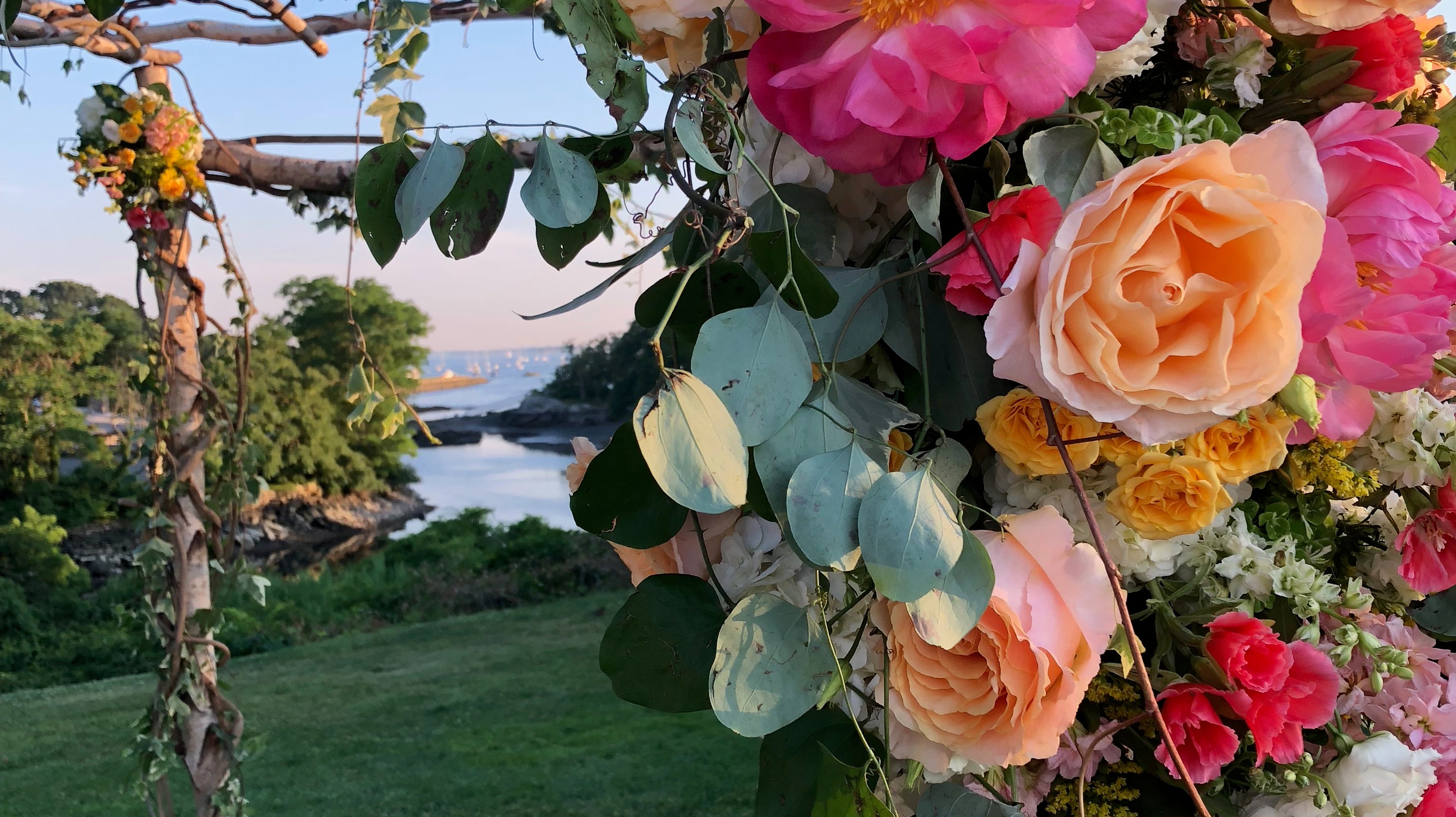 Why Do We Cry at Weddings?