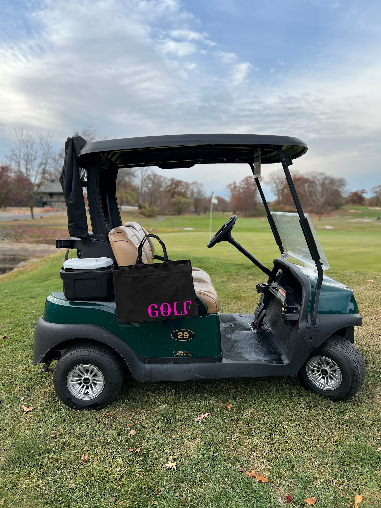 Anywhere Golf Cart Bag in Black with Neon Pink GOLF - Quilted Koala