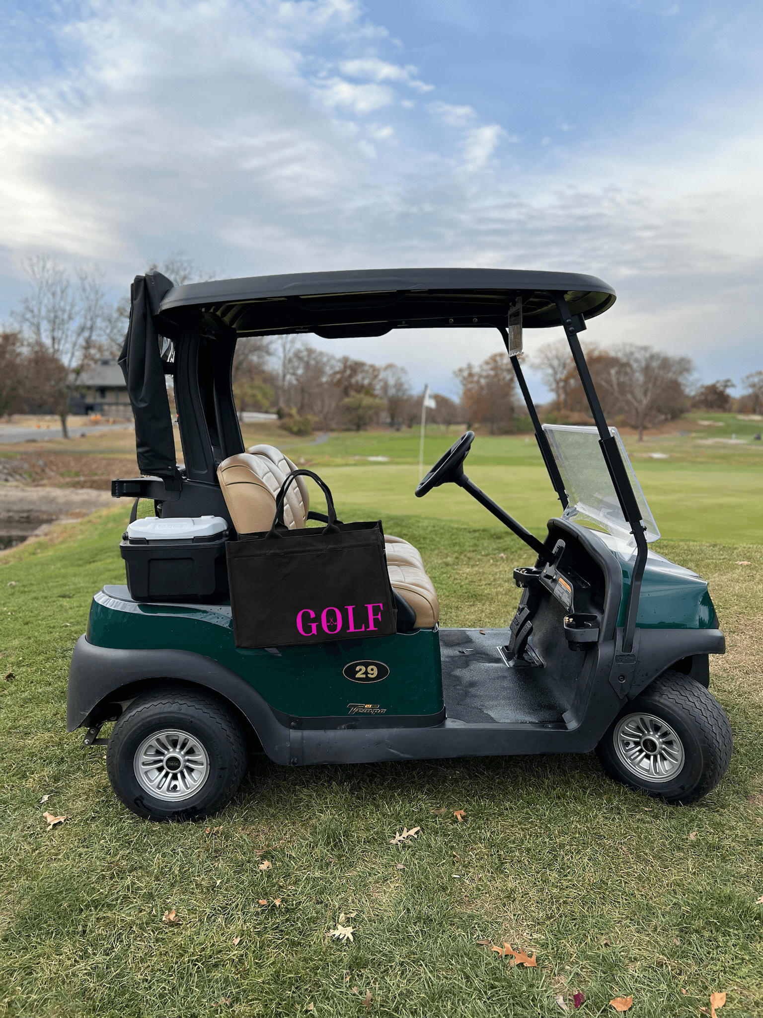 Anywhere Golf Cart Bag in Black with Neon Pink GOLF - Quilted Koala