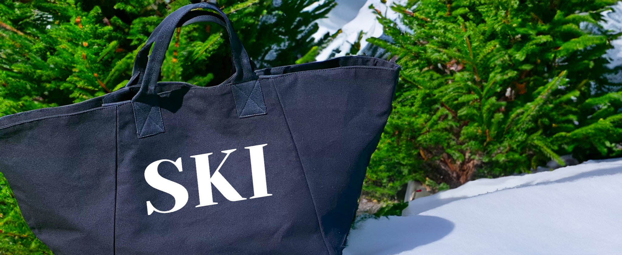 NEW!  SKI BAGS and Accessories