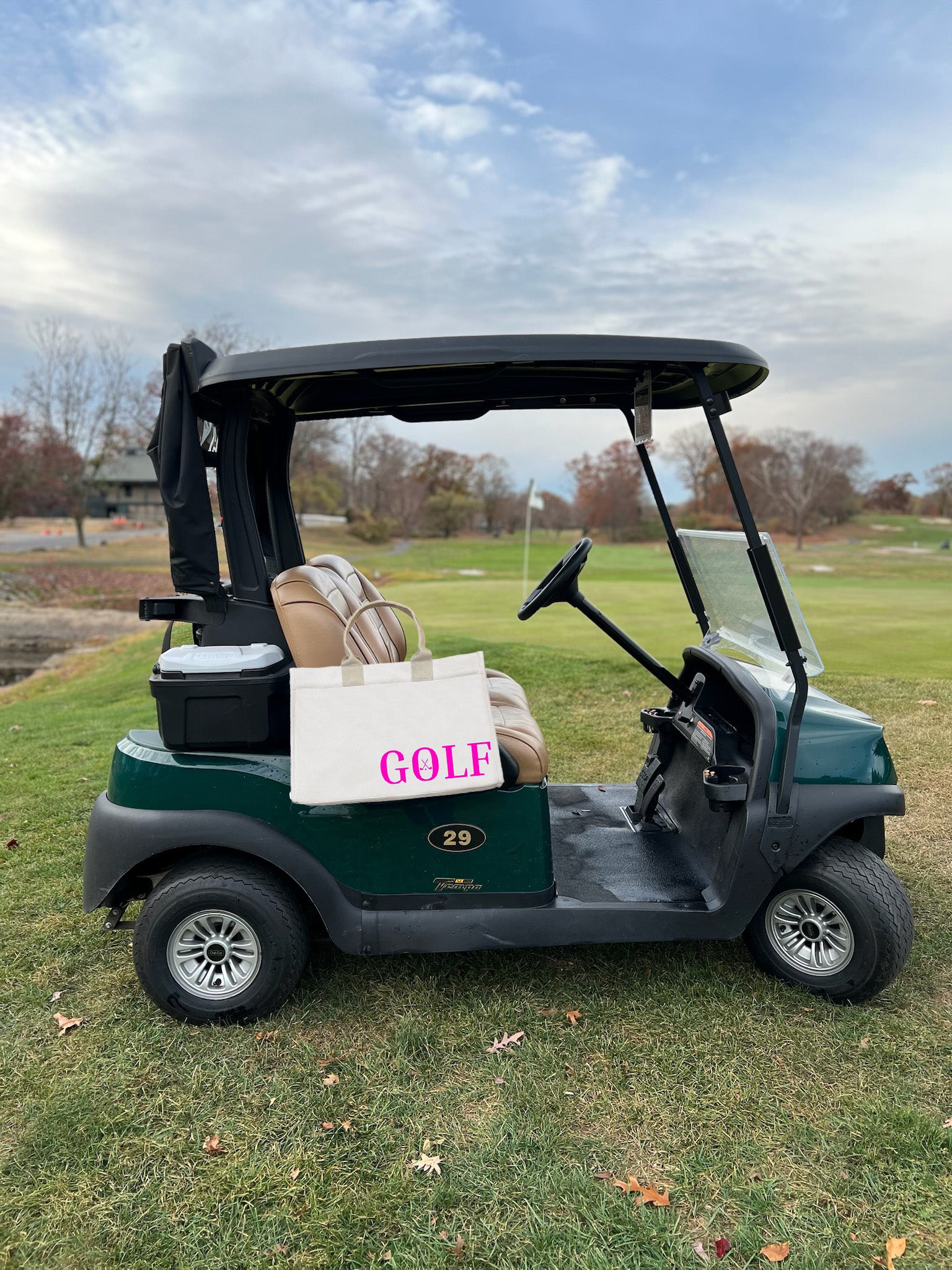 Golf Cart Anywhere Bag in Natural with Neon Pink GOLF - Quilted Koala